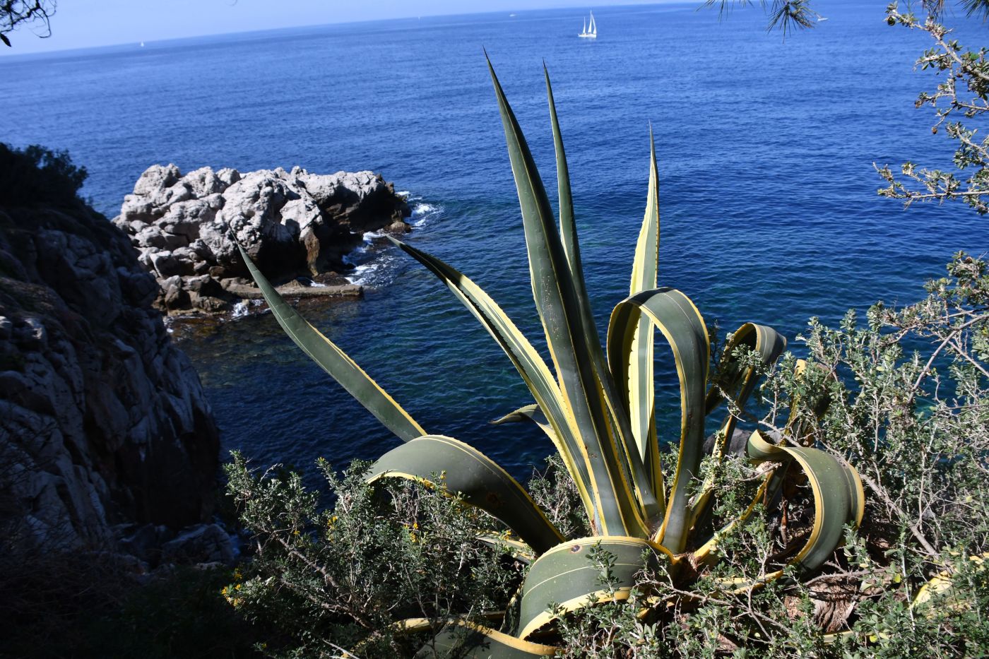 Jour 4 de notre randonnée sur les sentiers de la Côte d'Azur